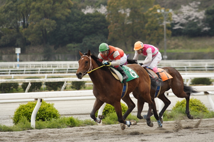 2009年3月28日（土） 高知競馬 5R 3歳1_a0077663_853439.jpg