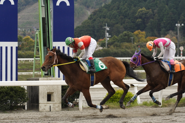 2009年3月28日(土) 高知競馬 5R 3歳1_a0077663_854280.jpg