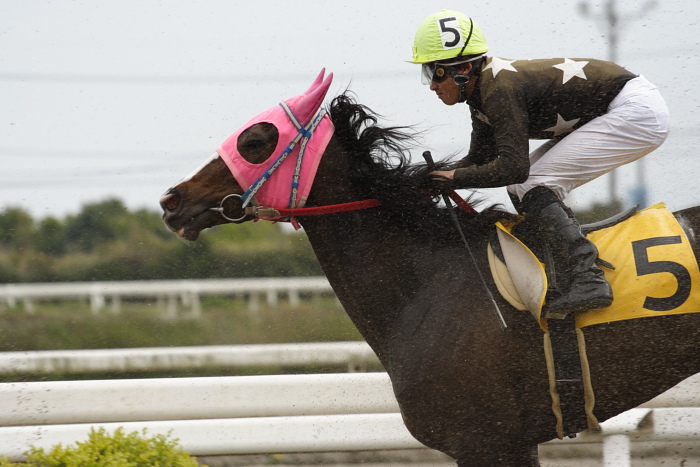 2009年3月28日（土） 高知競馬 5R 3歳1_a0077663_8594.jpg