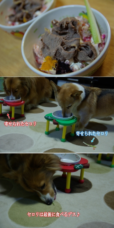 寄せられたセロリ いぬ の ごはん