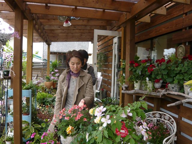 バラ研究家 梶みゆき さん 宮崎の花屋 アナーセン