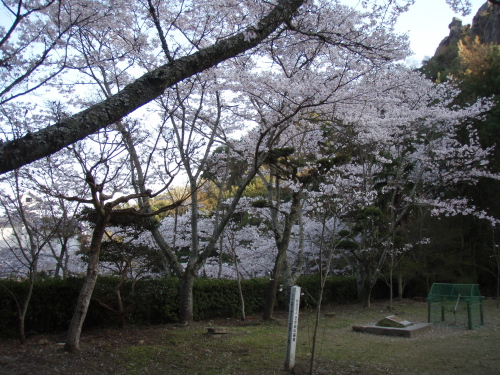 花冷え_a0077071_1281071.jpg
