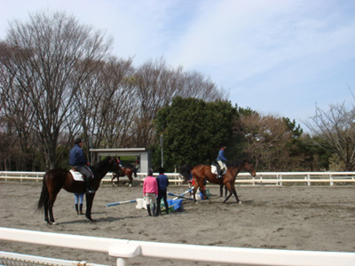 ３月２９日（日）根岸森林公園と山手を歩く_e0006772_21275028.jpg