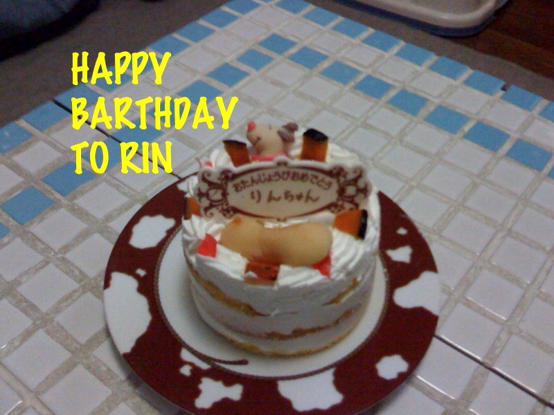 HAPPY BARTHDAY TO RIN !_f0168374_20234118.jpg