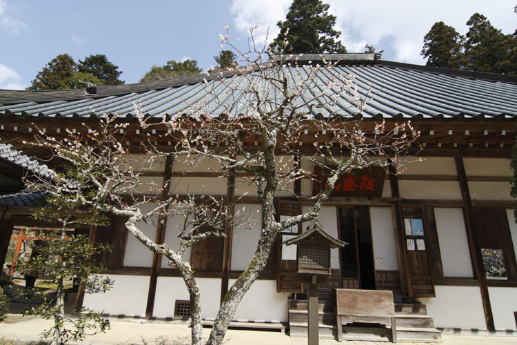 c0054876_1651272.jpg