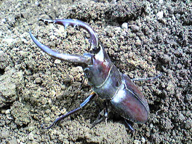 d0115886_23503489.jpg