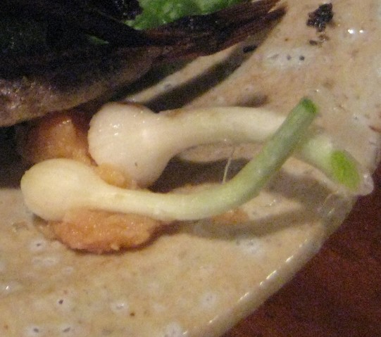 c0013687_1195626.jpg