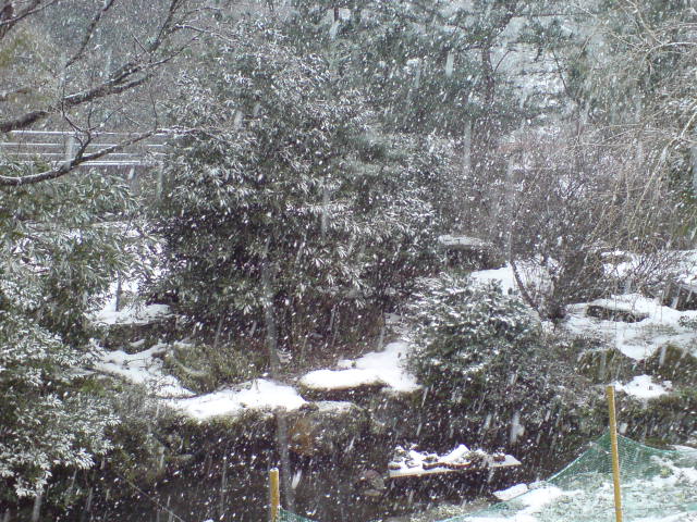 f0167890_2344545.jpg