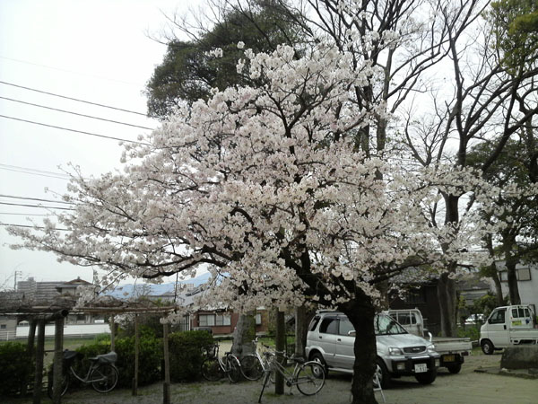 a0040593_20281459.jpg