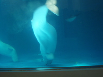 c0086895_1461663.jpg