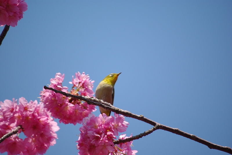 横浜公園_c0125596_18135485.jpg