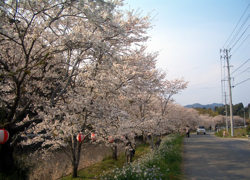 b0067598_20112495.jpg