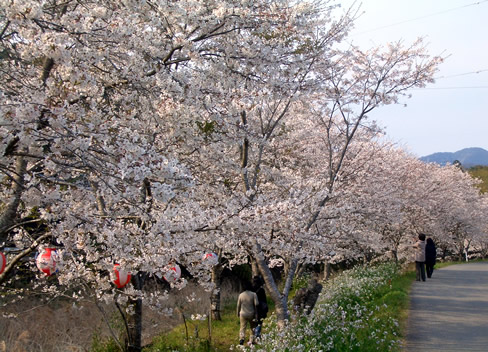 b0067598_20113454.jpg