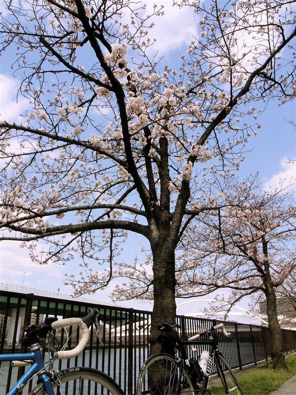 c0015099_2322540.jpg