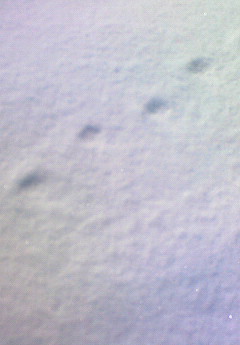 f0187700_9221978.jpg