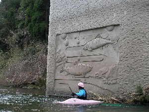 リサ10番勝負 at 美山_c0121102_22124066.jpg