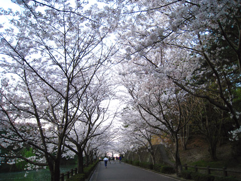 a0097006_2112578.jpg