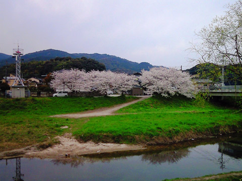 a0097006_219183.jpg