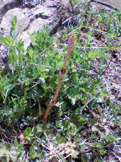 c0023406_72091.jpg