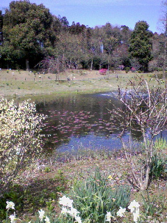 c0023406_72115.jpg