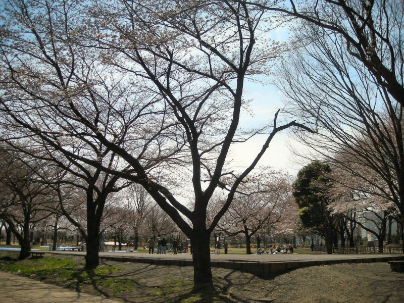 b0057612_139561.jpg