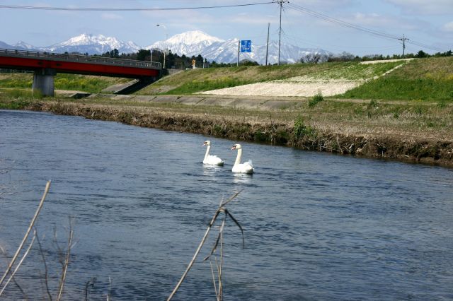 f0011412_20575358.jpg