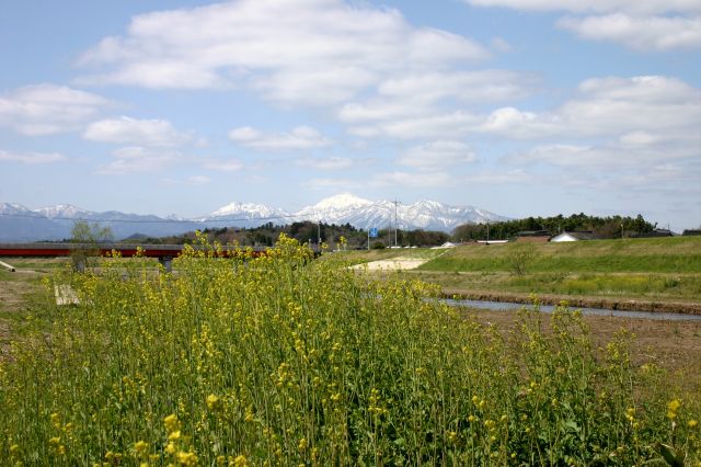 f0011412_2058684.jpg