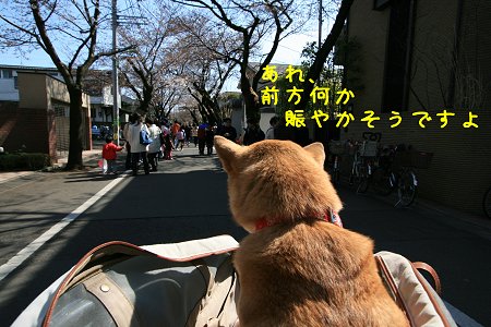 d0143214_039377.jpg