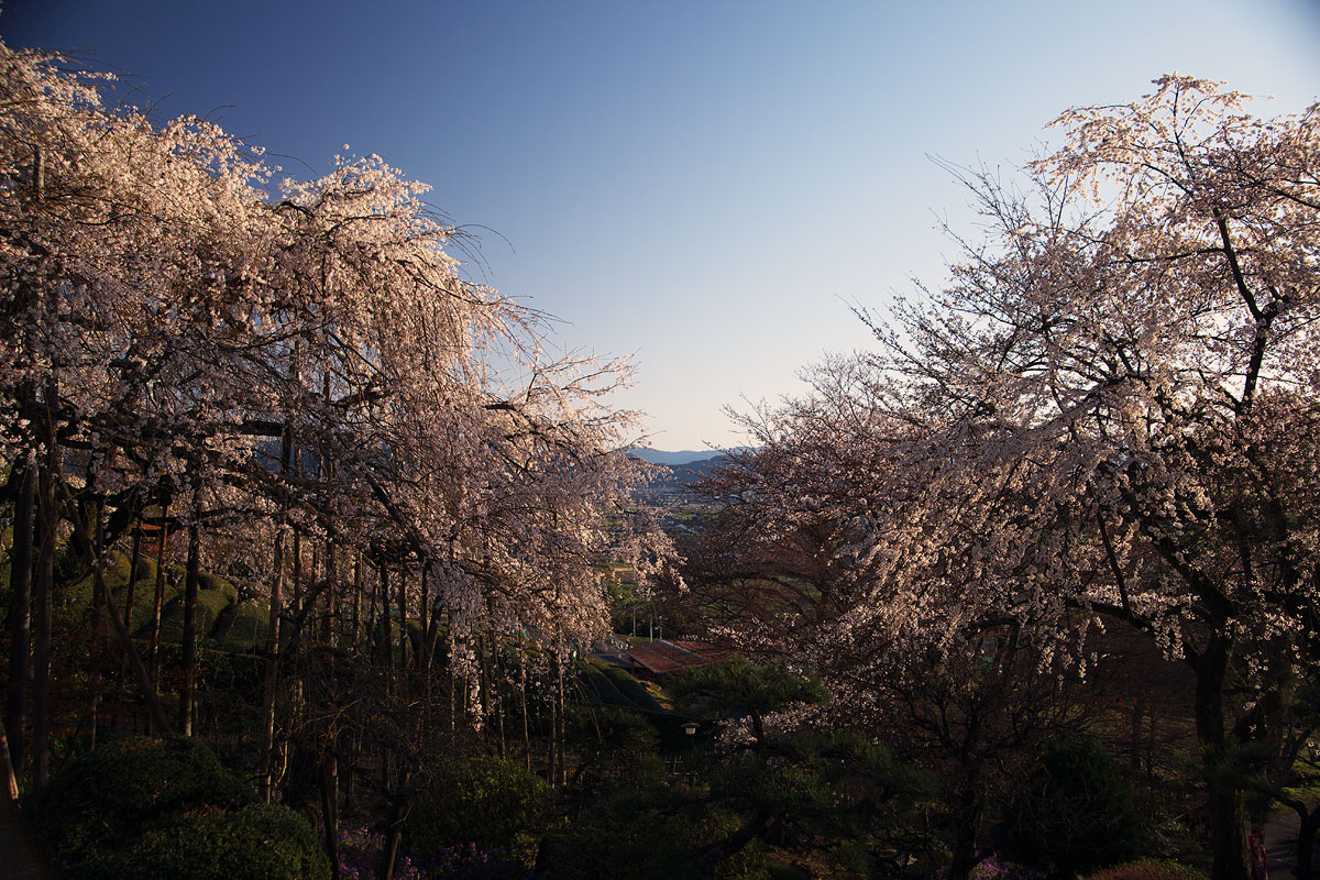 c0115616_225159.jpg