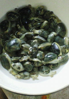 c0187927_22471100.jpg