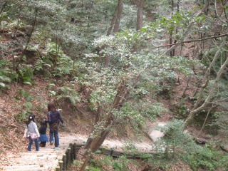 c0113733_3331951.jpg