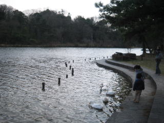 c0113733_3362439.jpg