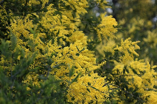 d0029333_20271251.jpg