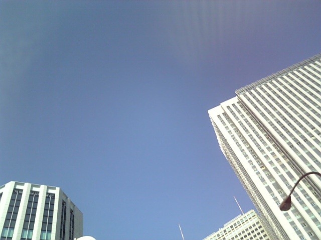 a0022038_8461980.jpg