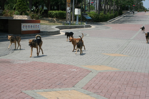 e0018143_1413662.jpg