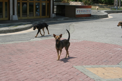 e0018143_14152765.jpg