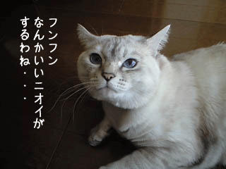 f0116546_2311611.gif