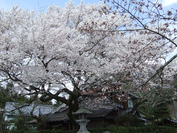 f0017848_9591159.jpg