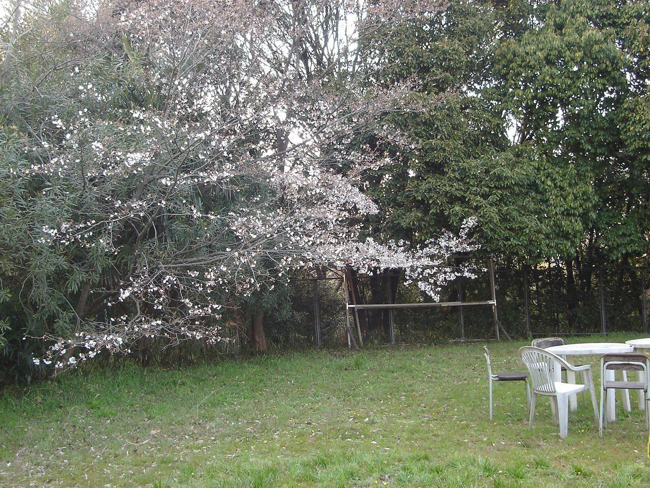 c0180752_1855269.jpg