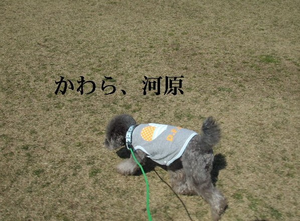 e0129656_22155851.jpg