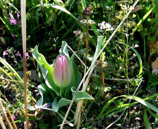 e0129656_22174029.jpg