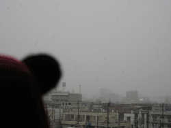 b0159557_1722941.gif
