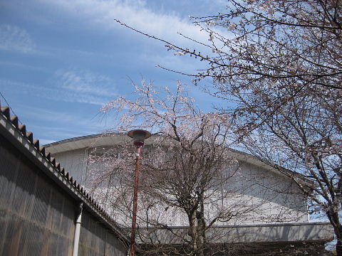 e0152357_1131820.jpg