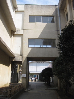 e0152357_19528.jpg