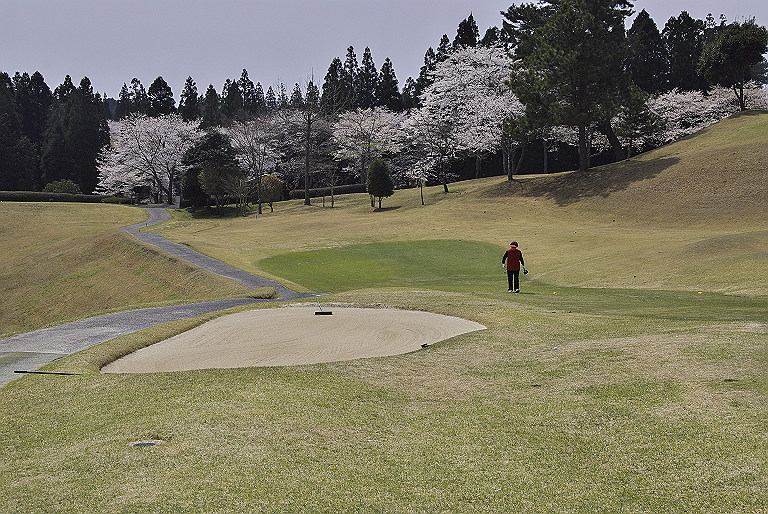 桜とゴルフ_a0080662_10593537.jpg