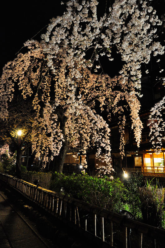 昼ゆるり宵は祇園で花逍遙　✿ฺ´☆`✿ฺ_a0031363_115124.jpg