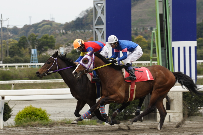 實川純一騎手、高知競馬2勝目！！_a0077663_18161714.jpg