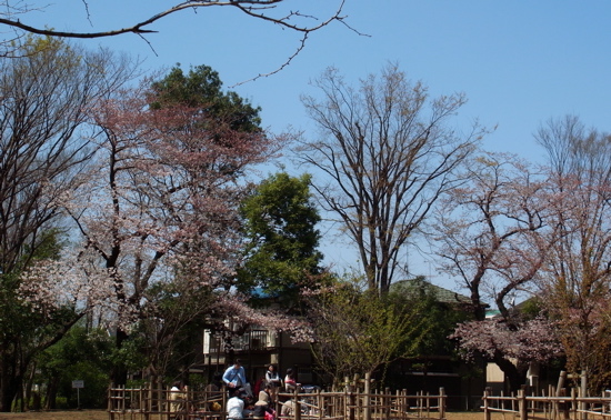 f0160063_18133893.jpg