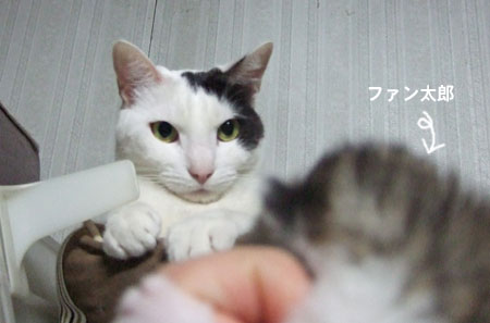 28日と29日_a0064067_20462342.jpg