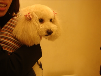 2009.3.30 年度末_a0083571_2321728.jpg